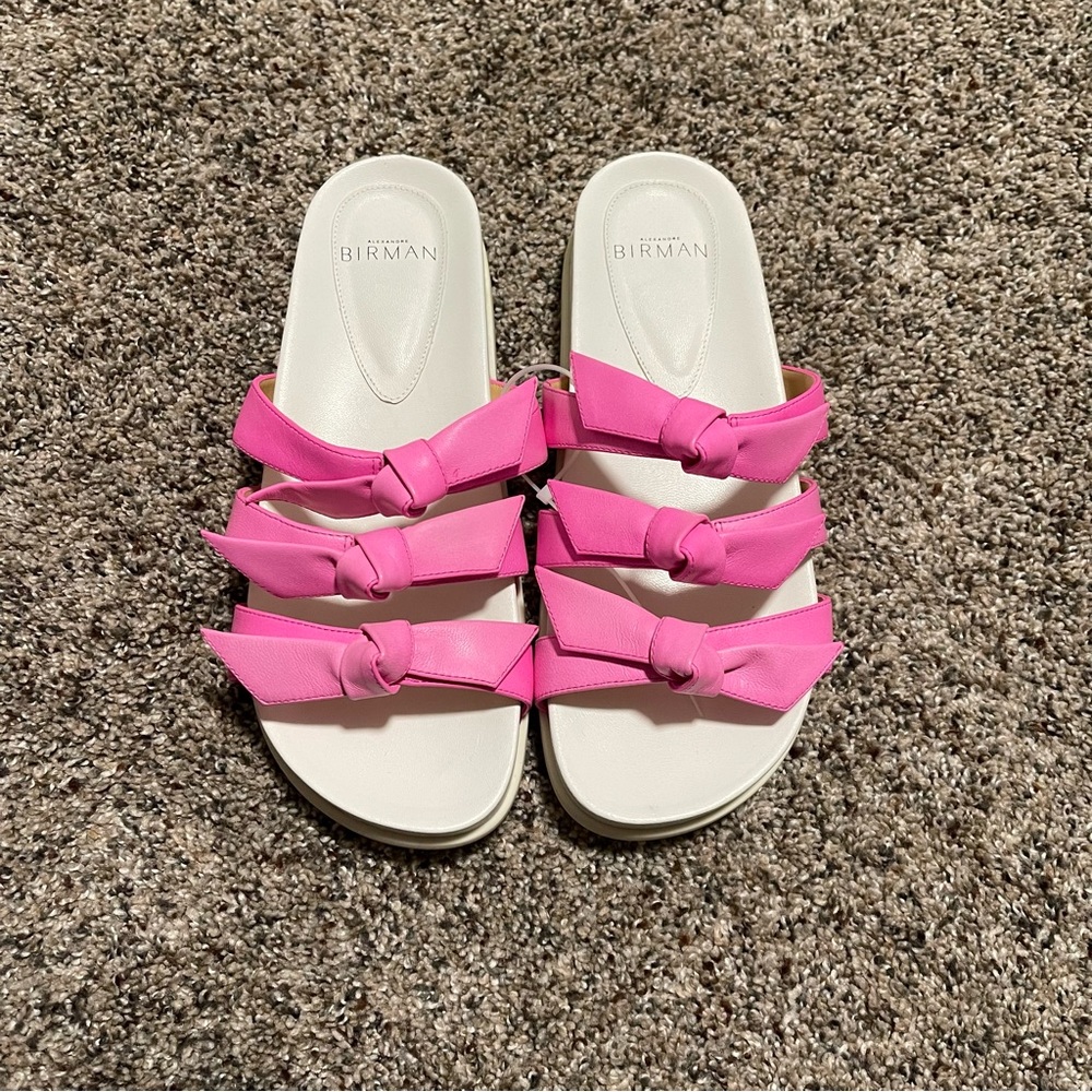 Alexandre Birman Lolita Slide Sandals - Pre-Owned, Like New